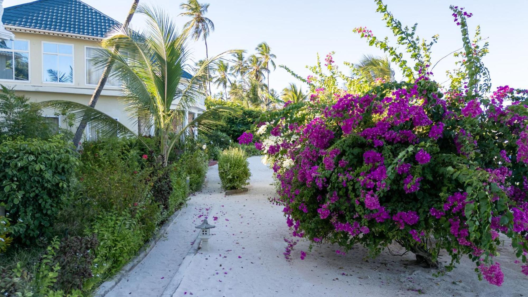 Jafferji Beach Retreat, Hotel Matemwe  Kültér fotó